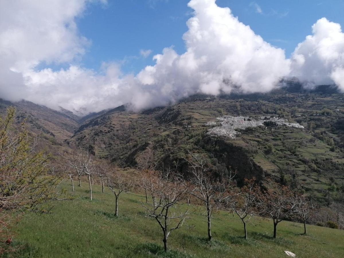 Vakantiehuis Casa Abuela Pilar Capileira
